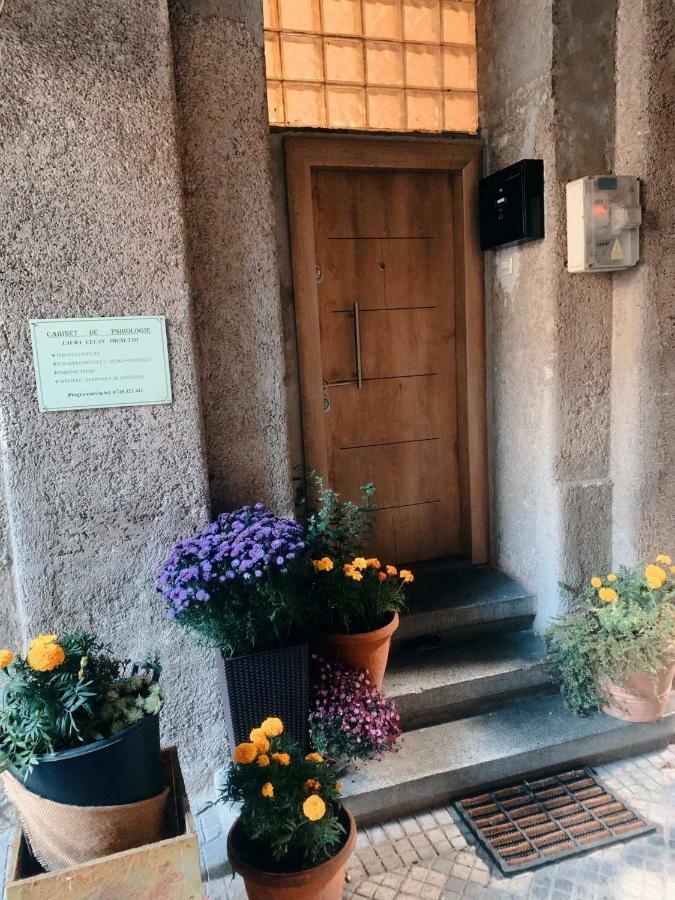Art Gallery Residence Brasov Ngoại thất bức ảnh